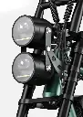 17.webp
