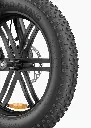 9_29866c37-fd11-4441-ac39-63a45e3870d2.webp