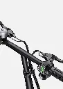 T14_1.webp
