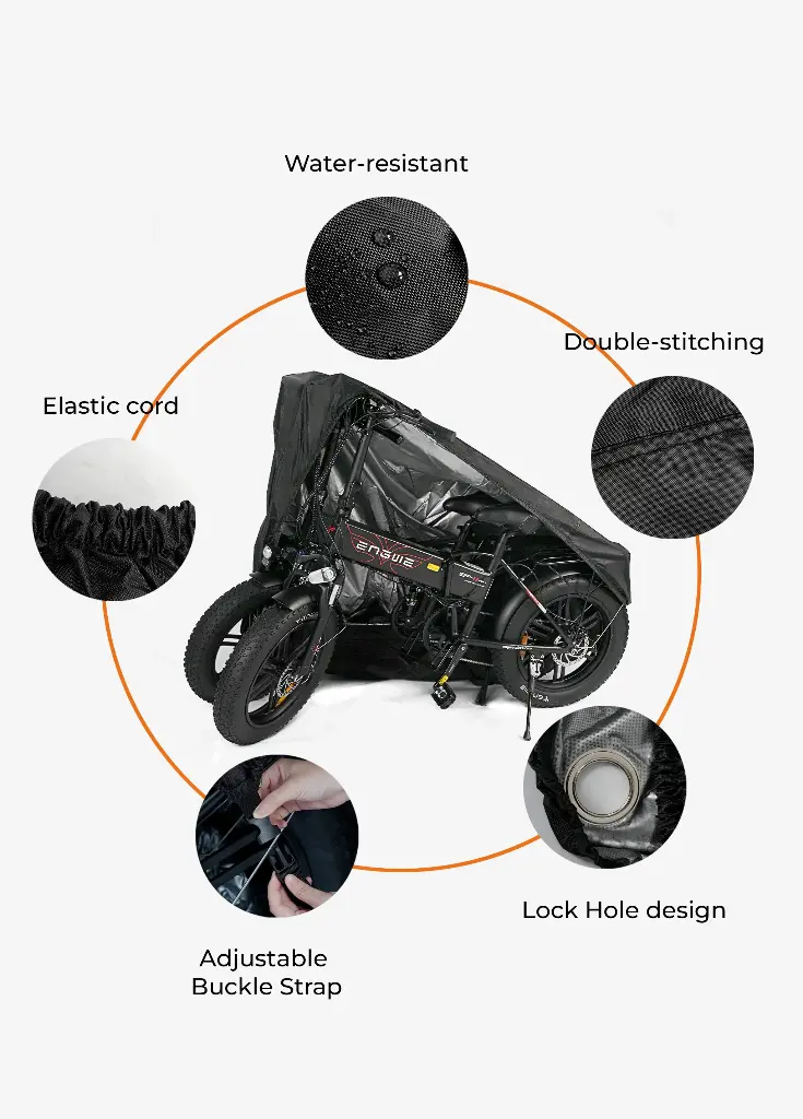 2_161b2675-95e6-4030-92e8-63ecbf8c9419.webp