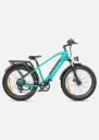 Bicicleta eléctrica ENGWE E26